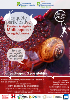 Affiche-mollusques_2021-BD