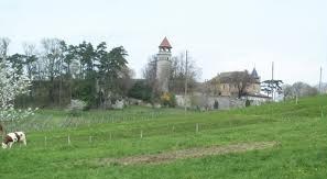 chateau-de-chateaufort-sur-la-commune-de-motz